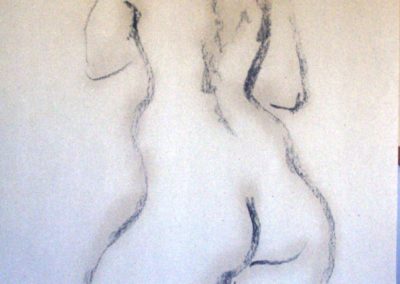 Desnudos