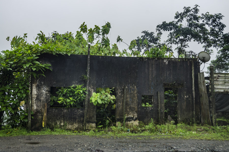 Photosintesis Estructural 15