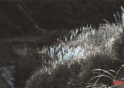 Samayuio, Espíritu del Río de Quito